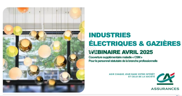 Industries Électriques et Gazières : Webinaire avril 2025
