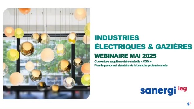 Industries Électriques et Gazières : Webinaire mai 2025